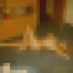 Rencontre Mila, 38 ans à Altkirch gratuitement