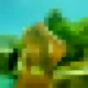 Uranie, 20 ans, connectée à Amboise pour une rencontre coquine