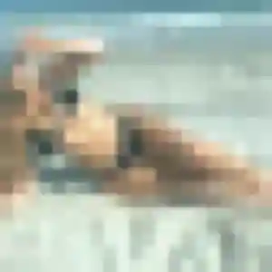 Profil de Siham à Auriol (28 ans) - rencontre coquine anonyme