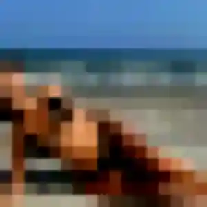 Photo de Rania à Bayonne (24 ans) - rencontre coquine discret