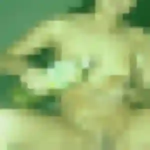 Camille (29 ans) à Beaucouzé cherche un rencontre coquine aujourd'hui