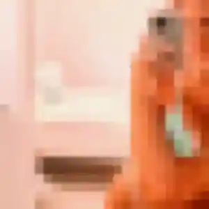 Heloise (29 ans) à Besançon propose une rencontre maintenant