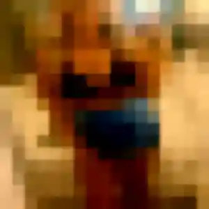 Clarisse, femme de 37 ans propose rencontre coquine à Carmaux