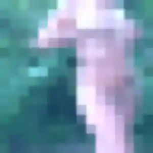 Profil de Lena à Dives-sur-Mer (43 ans) - rencontre coquine discret