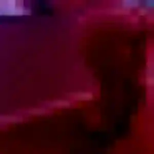 Ilona de Erquinghem-Lys, 26 ans - rencontre coquine sans lendemain