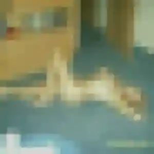 Photo privée de Anais, 29 ans à Gaillon - plan discret