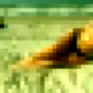 Photo perso de Ornella, 39 ans à Gond-Pontouvre - rencontre coquine