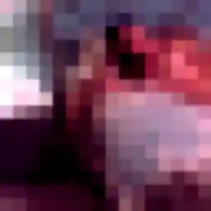 Profil de Eugenie à Guer (36 ans) - rencontre coquine gratuit