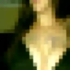 Profil de Sylviane à Guichen (43 ans) - rencontre coquine gratuit