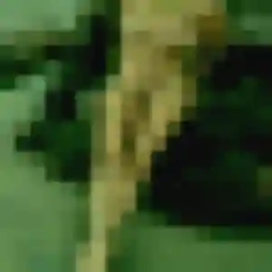 Manon (33 ans) à Hœnheim cherche un rencontre coquine rapidement