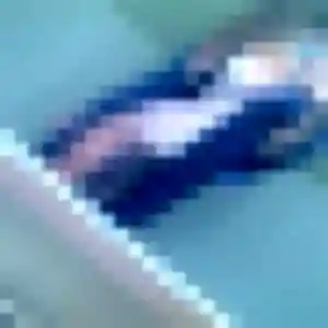 rencontre coquine à La Bassée : photo de Anne-Charlotte, 36 ans - accès libre