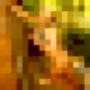 Profil de Zephyrine à La Bouilladisse (35 ans) - rencontre coquine anonyme