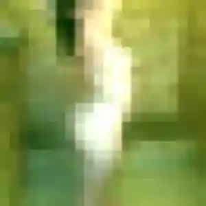 Cecile, 33 ans, connectée à Laon pour un rencontre coquine