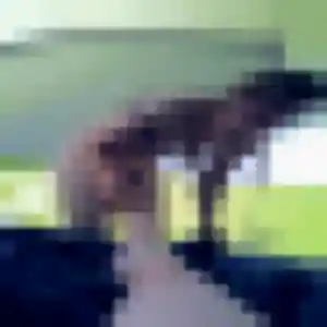Anastasia de Lavelanet, 24 ans - rencontre coquine sans lendemain