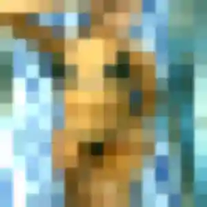 Profil de Stephanie à Le Vauclin (24 ans) - rencontre coquine gratuit