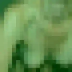 Constance (29 ans) à Les Ponts-de-Cé cherche un rencontre coquine rapidement