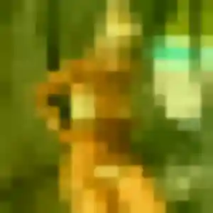 Photo de Adeline à Levens (34 ans) - rencontre coquine anonyme