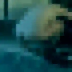 Photo de Lisa à Limoux (42 ans) - rencontre coquine anonyme