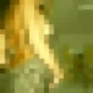 Profil de Phoebe à Lormont (32 ans) - rencontre coquine discret