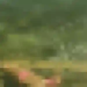 Emma, 43 ans, veut un rencontre coquine à Louviers