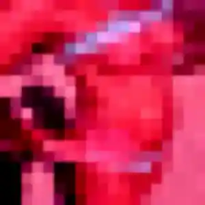 Sexy Rebecca, 27 ans à Louviers - la contacter