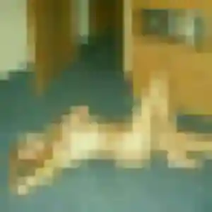 rencontre coquine à Lutterbach : photo de Margot, 38 ans - accès libre