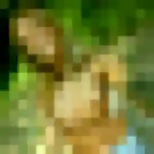 Profil de Delia à Luynes (40 ans) - rencontre coquine discret
