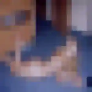 Rebecca de Magny-le-Hongre, 22 ans - rencontre coquine sans lendemain