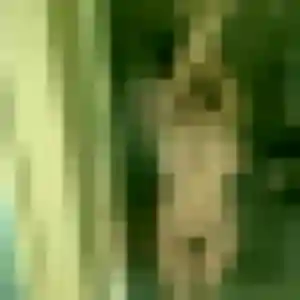 Ines, 23 ans, disponible à Mazé-Milon pour une rencontre coquine