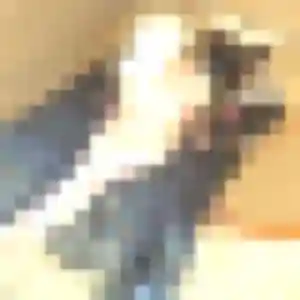 Photo exclusive de Thais, 41 ans à Nogent-le-Rotrou - rencontre coquine