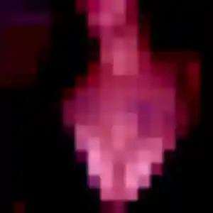 Photo perso de Louna, 27 ans à Pamandzi - rencontre coquine