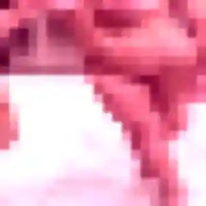 Bettina, femme de 22 ans propose rencontre coquine à Paray-le-Monial