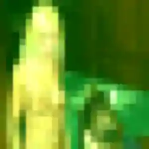 Sexy Fanny, 29 ans à Plan-de-Cuques - voir sa photo