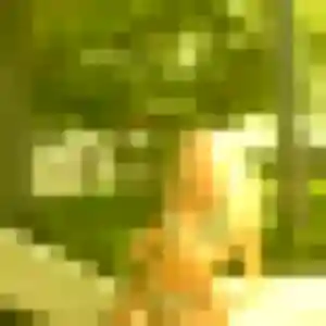 Meriem, femme de 26 ans cherche rencontre coquine à Plescop