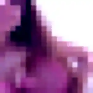 Photo exclusive de Ameline, 34 ans à Raismes - rencontre coquine
