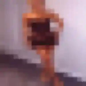 Flavia (27 ans) à Rives-du-Loir-en-Anjou cherche un rencontre coquine rapidement