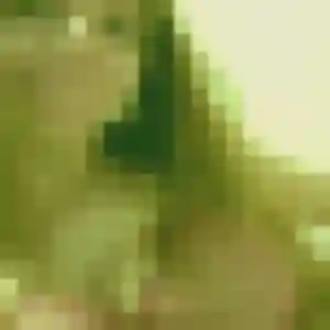 Photo sexy de Tania, 19 ans à Rives-du-Loir-en-Anjou - rencontre coquine