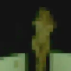 Adele de Roussillon, 31 ans - rencontre coquine sans prise de tête