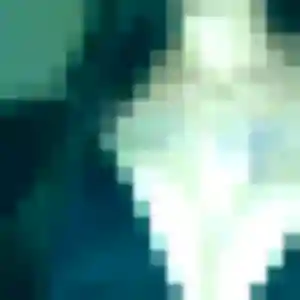 Hilary, 23 ans, veut un rencontre coquine à Saint-Denis-en-Val
