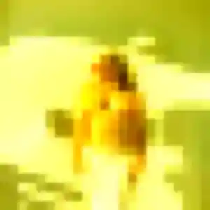 rencontre coquine à Saint-Étienne-du-Rouvray : photo de Marie-Ange, 45 ans - accès libre