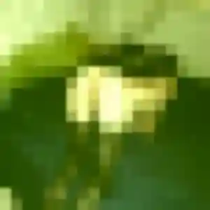 Photo de Huguette à Saint-Germain-lès-Corbeil (22 ans) - rencontre coquine discret