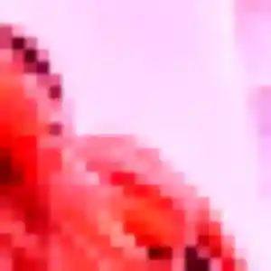 Lina, fille de 31 ans propose rencontre coquine à Saint-Juéry