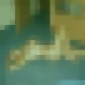 rencontre coquine à Sainte-Suzanne : photo de Elise, 44 ans - accès libre