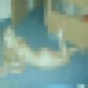 Doriane, femme de 44 ans veut rencontre coquine à Solliès-Pont
