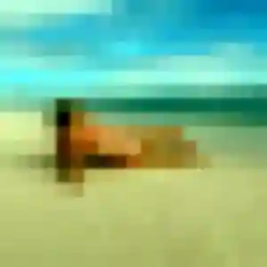 Constance, fille de 28 ans cherche rencontre coquine à Sorbiers
