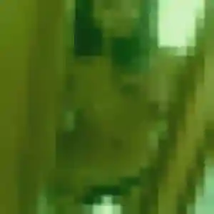 Charmante Honorine, 31 ans à Tarascon - voir sa photo