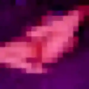 Delphine, 23 ans, dispo pour rencontre coquine à Thionville