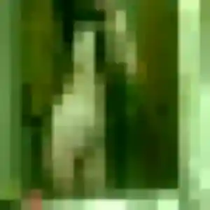 Bertille, 45 ans, veut un rencontre coquine à Toulouges