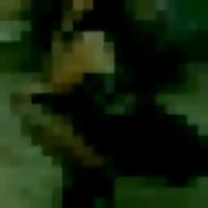Idalina (41 ans) à Tourves propose un rencontre coquine maintenant