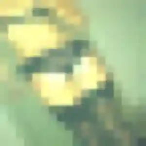 Profil de Salima à Trélazé (27 ans) - rencontre coquine anonyme